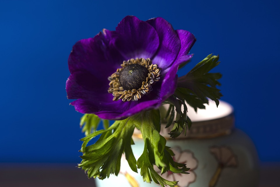 Decoration flower petals