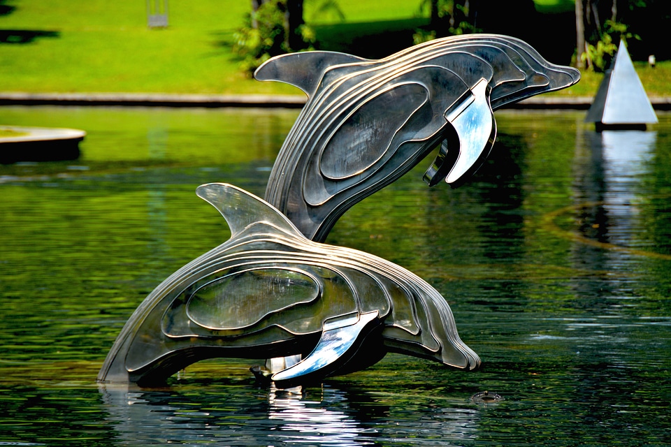 Animals aquatic architecture