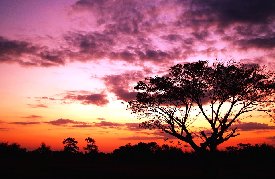 Beautiful Photo dawn nature