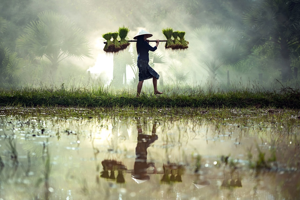 Agriculture beautiful photo countryside