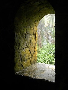 Age moss green