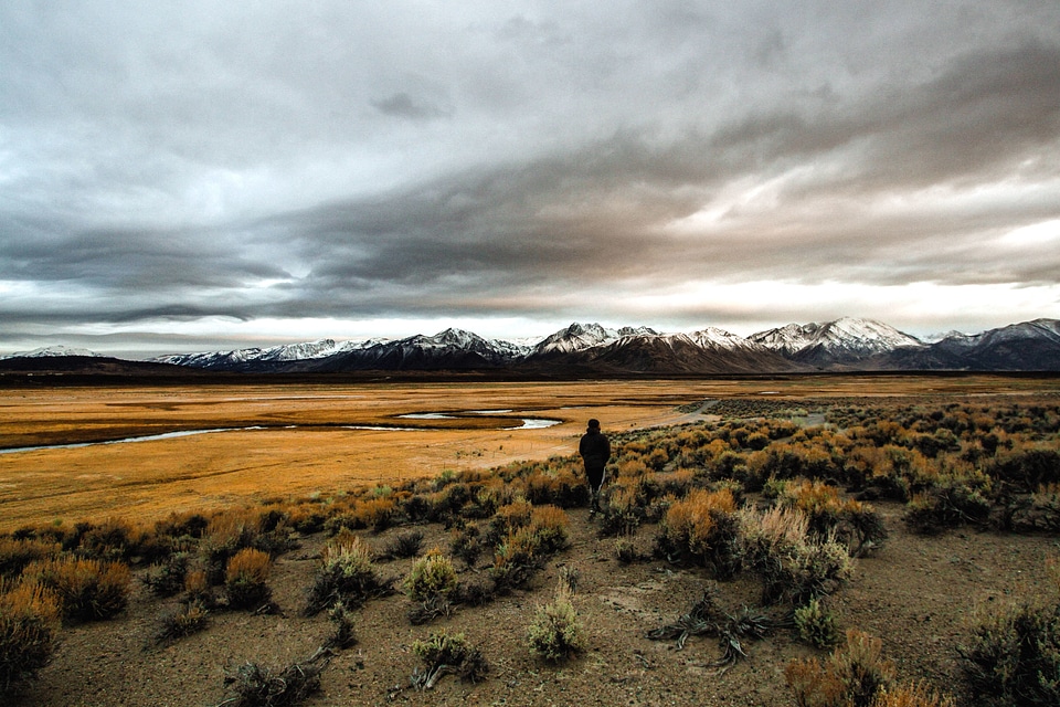Dry grassland ground