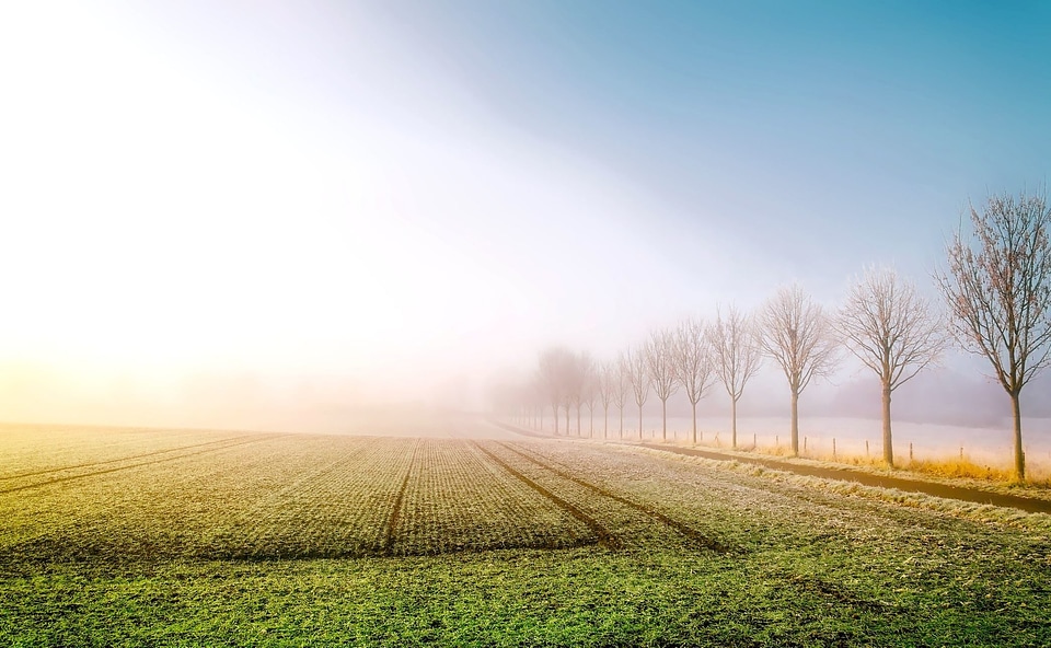 Crop crops farmland