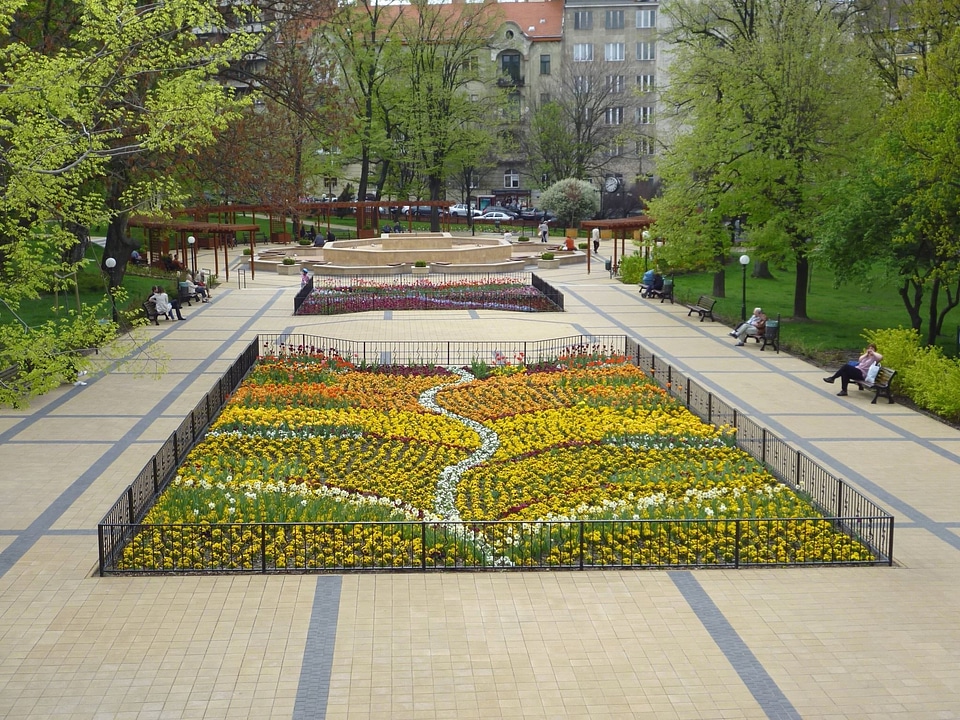Flower Garden flowers park