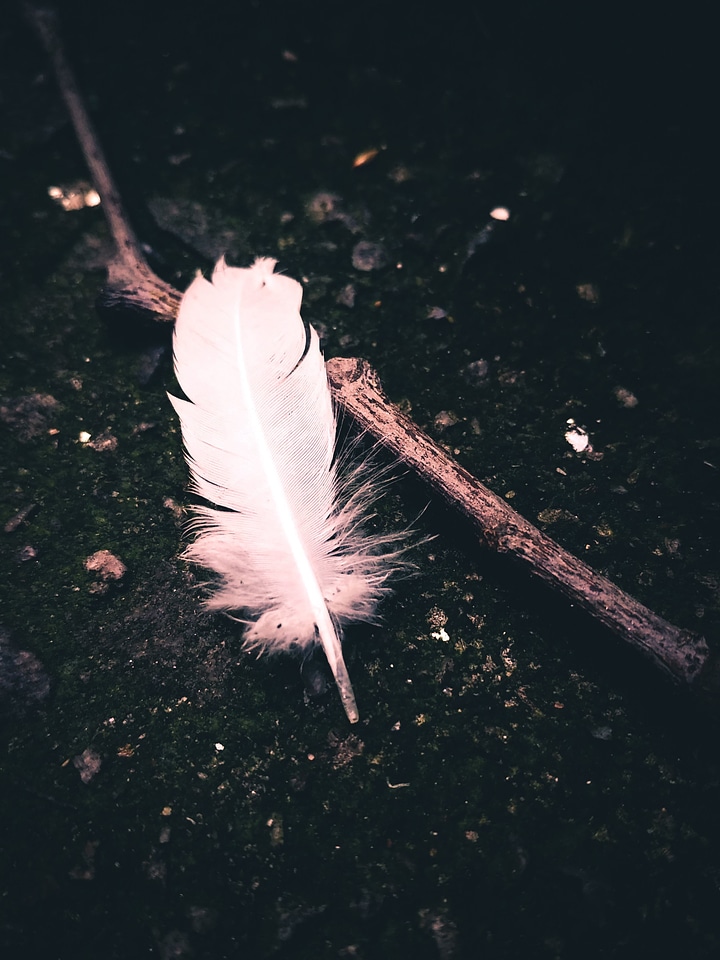 Feather ground soil