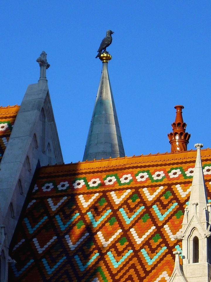 Bird cross exterior