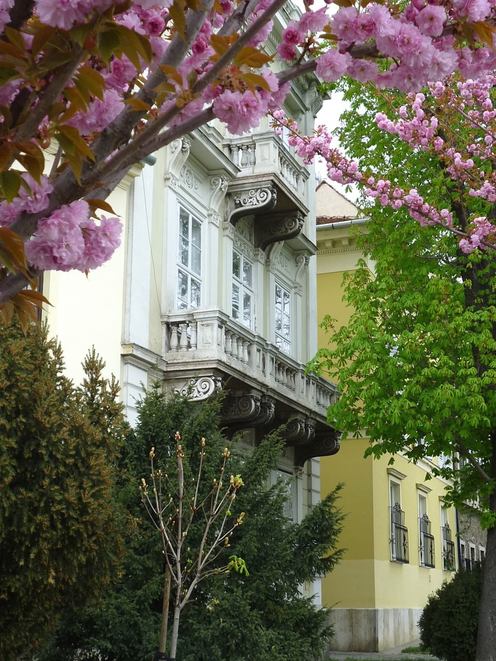Architecture branches building