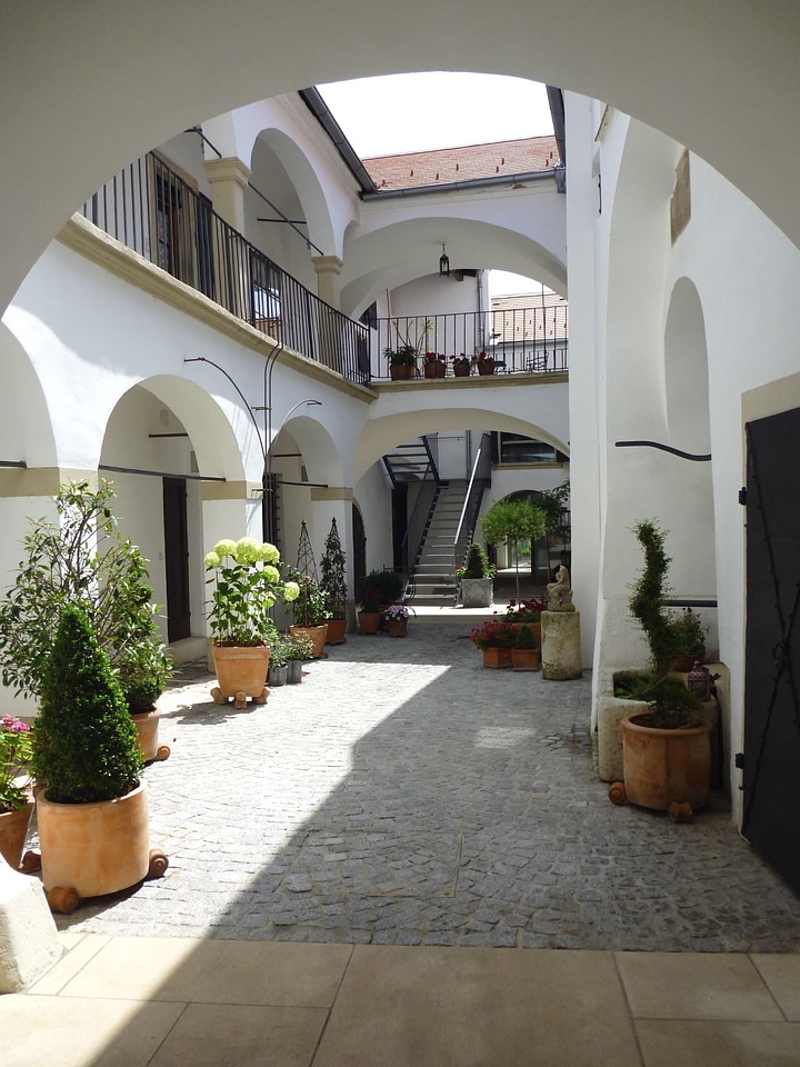 Exterior garden plants