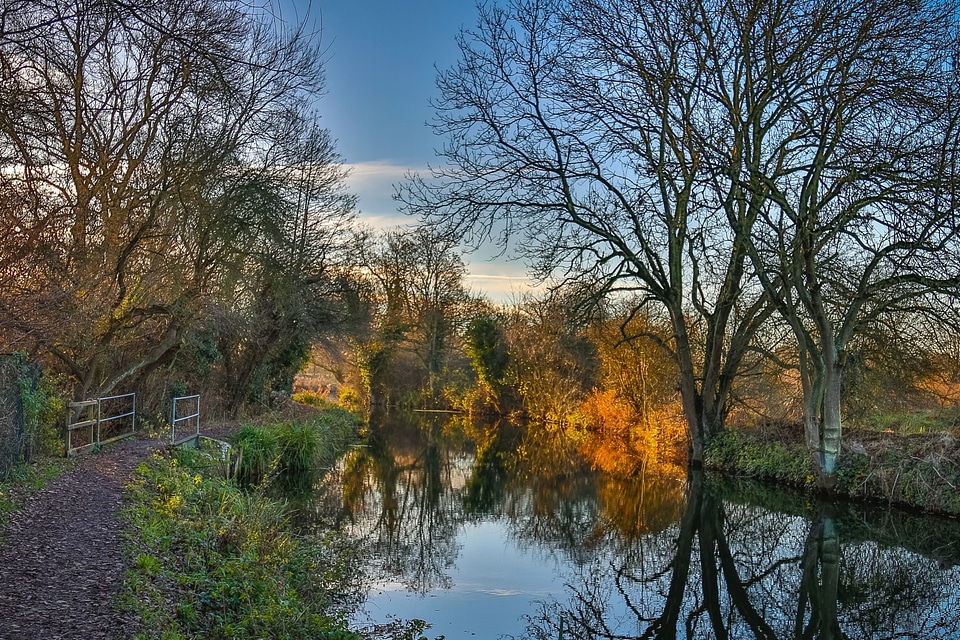 Beautiful Photo branches landscape