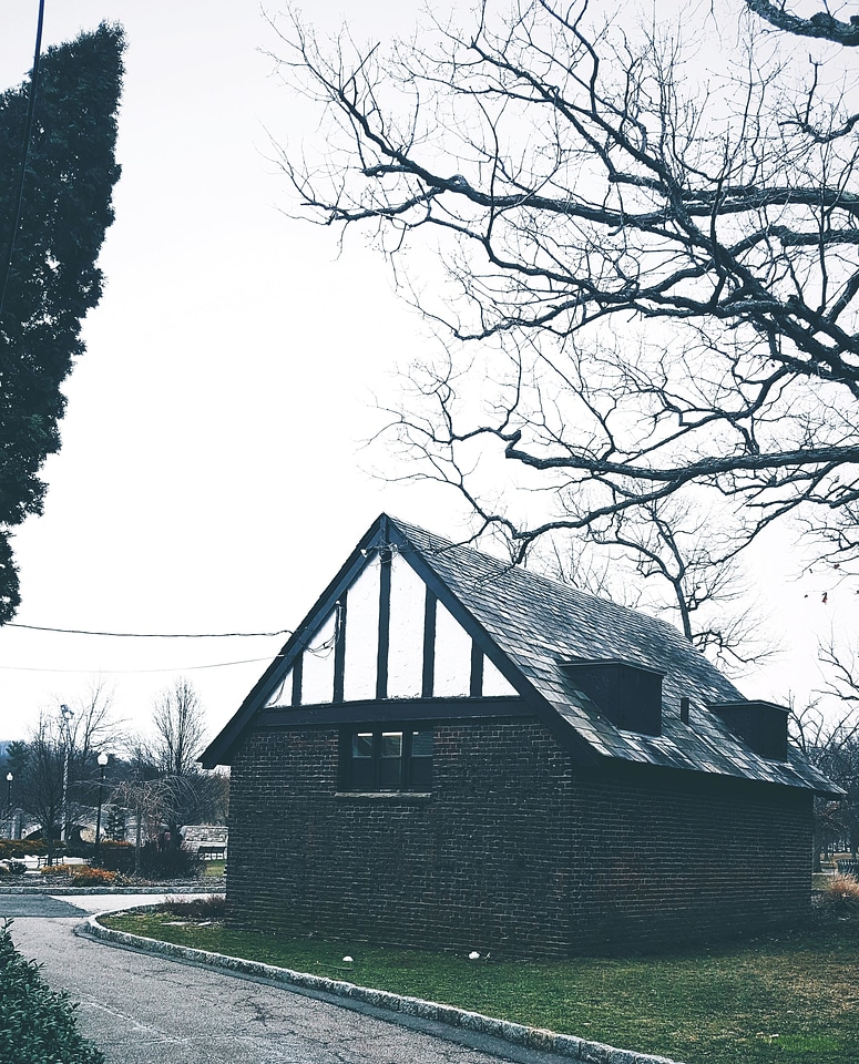 Architecture asphalt tree