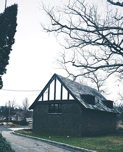 Architecture asphalt tree