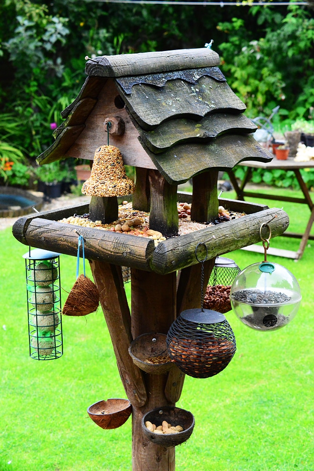 Bird food garden feeder
