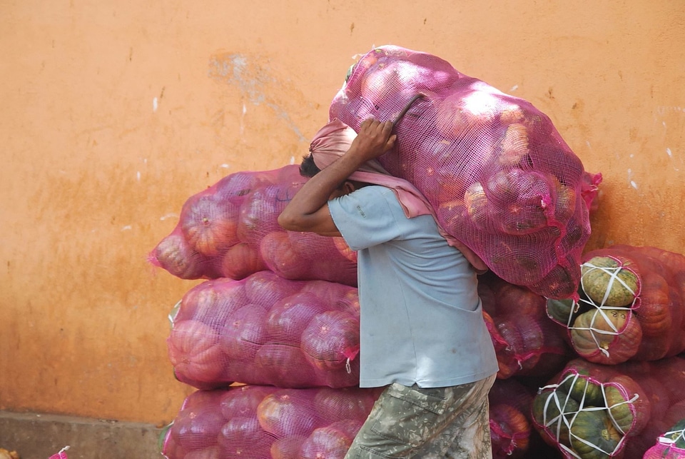 Agriculture carry man