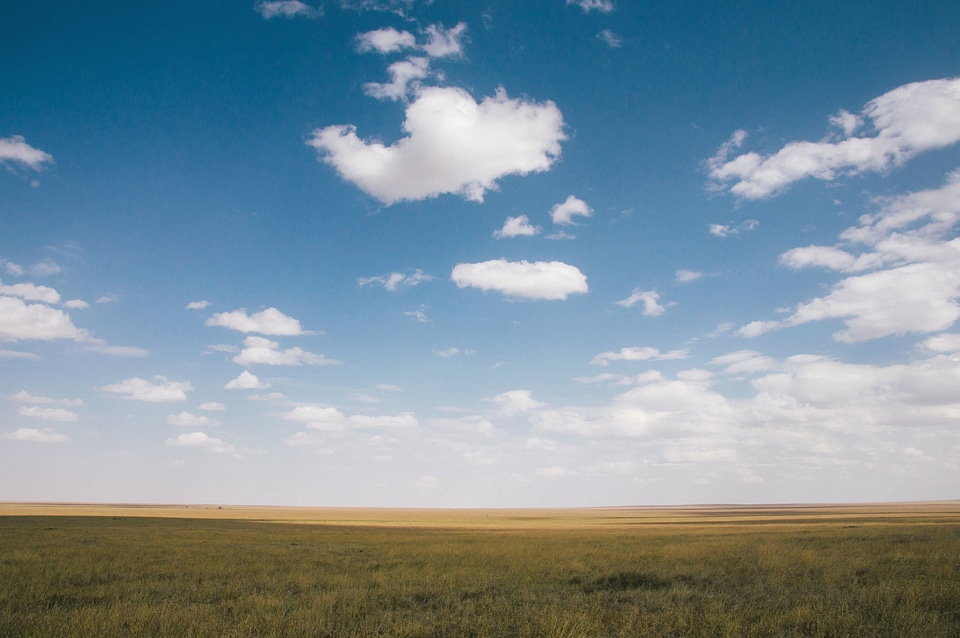 Agriculture cloud crops