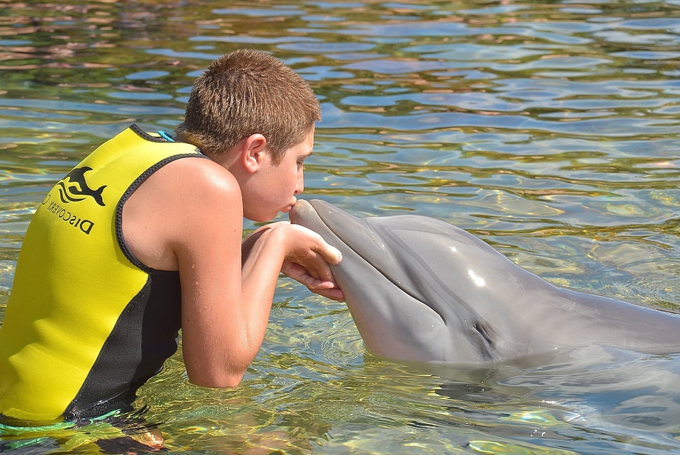 Beautiful Photo boy child