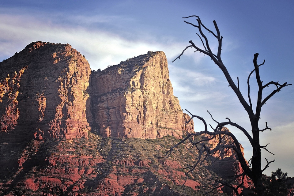Branches canyon rock