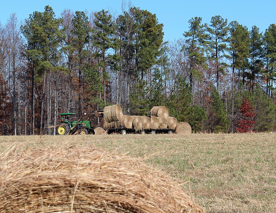 Tractor hay field bales