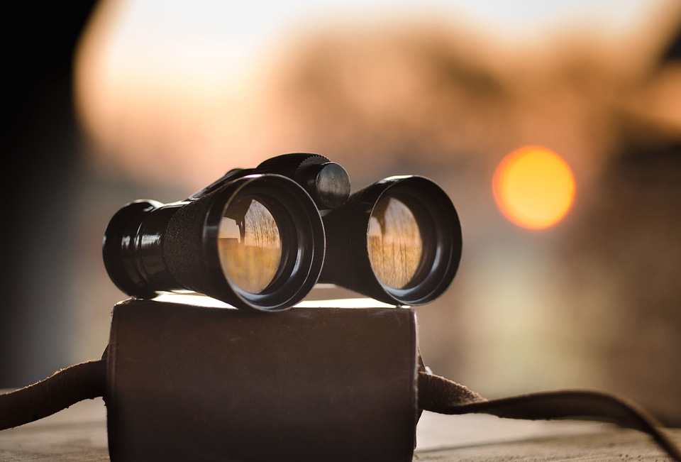 Binoculars device object