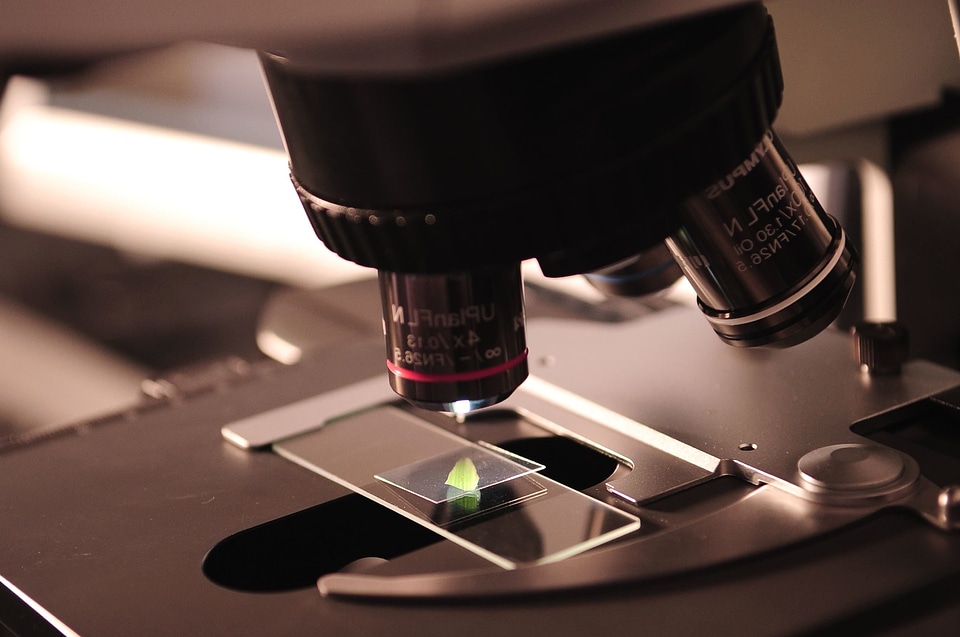 Biology microscope molecular biology
