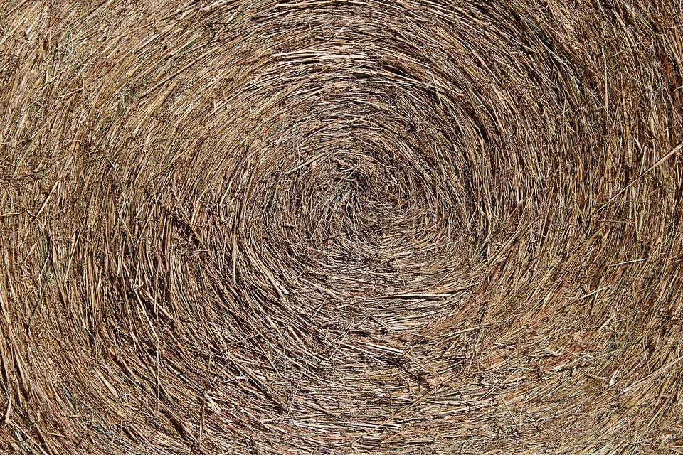 Dried grass animal food swirl