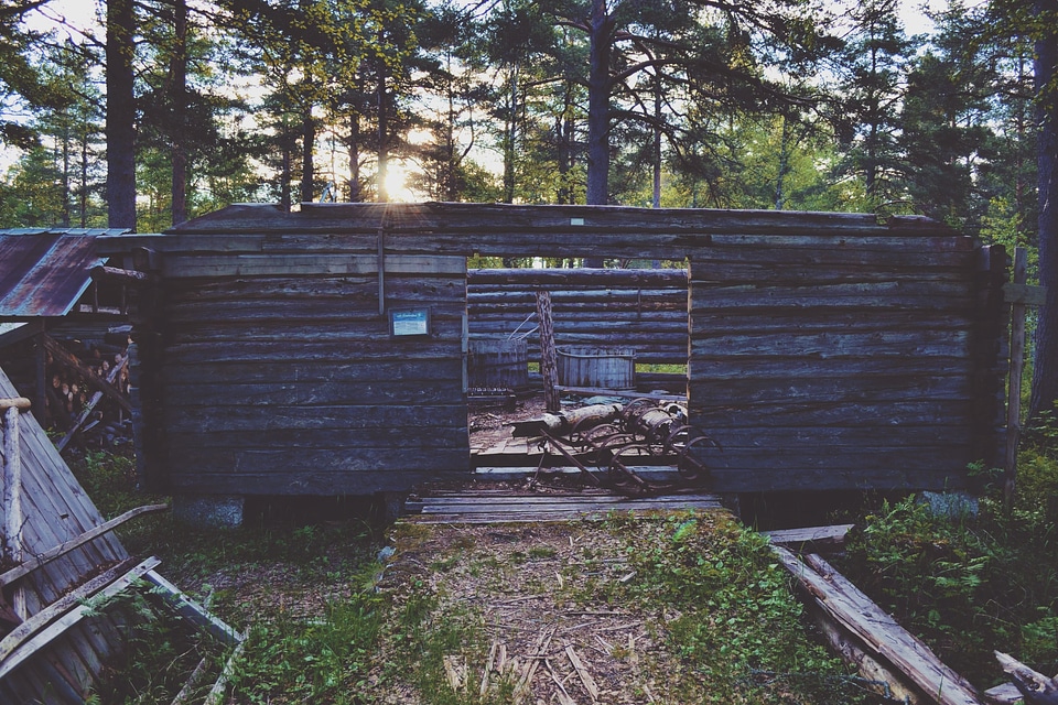 Abandoned forest shack