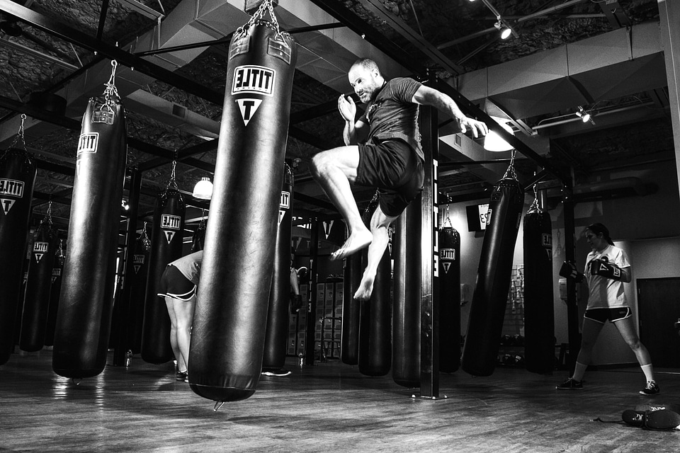 Black And White boxer fitness