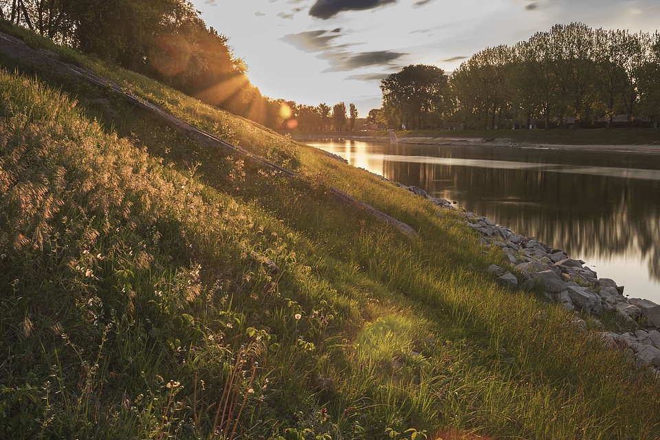 Grass lake landscape