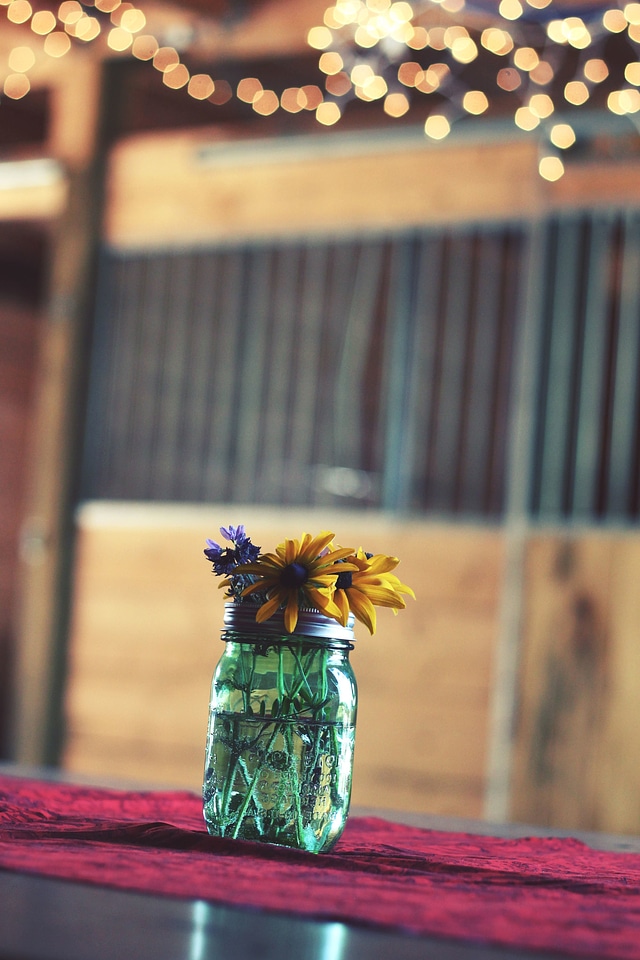 Decoration decorative flora