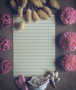 Decorative paper plants