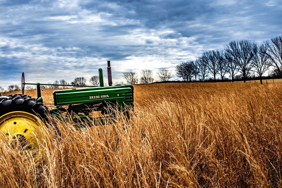 Agriculture beautiful photo country