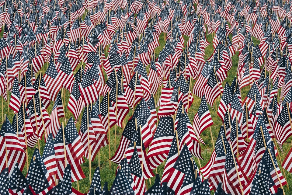 Flag grass United States
