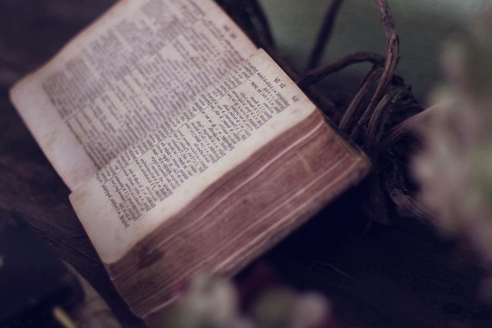 Antique book focus