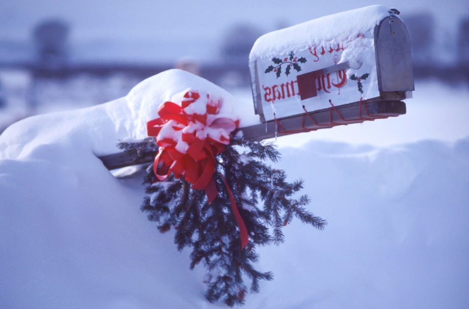Celebration christmas cold