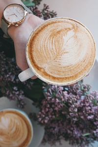 Beverage coffee coffee cup