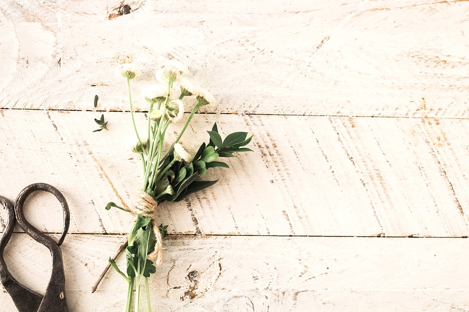 Flowers leaves scissors