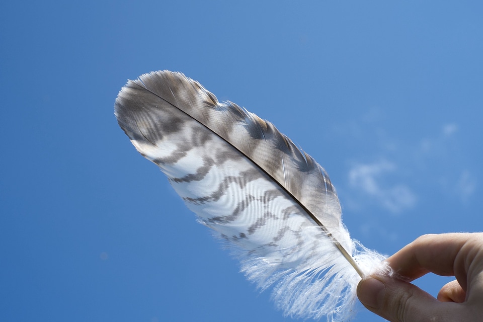 Blue Sky feather hand