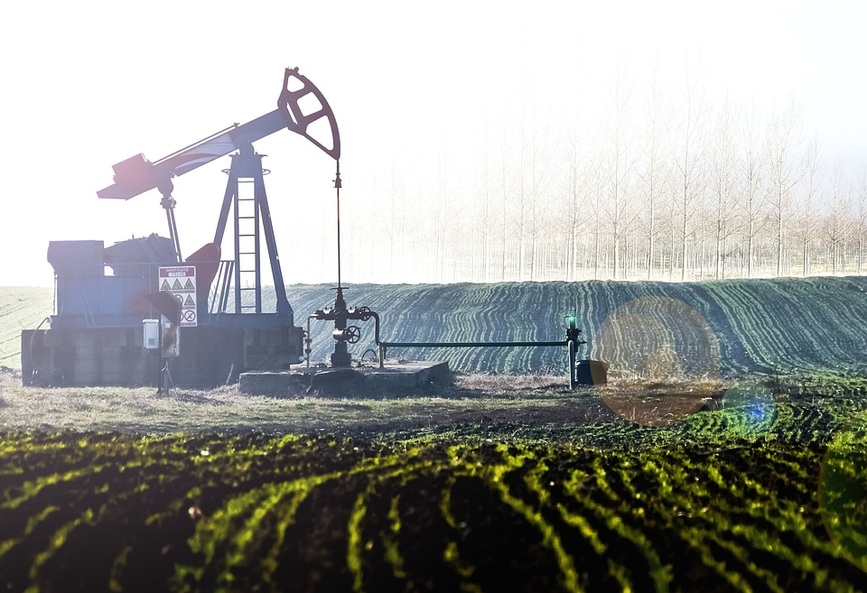 Agriculture crops farm