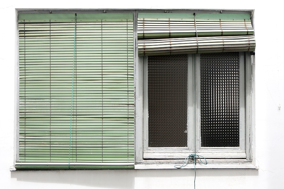 Windows  