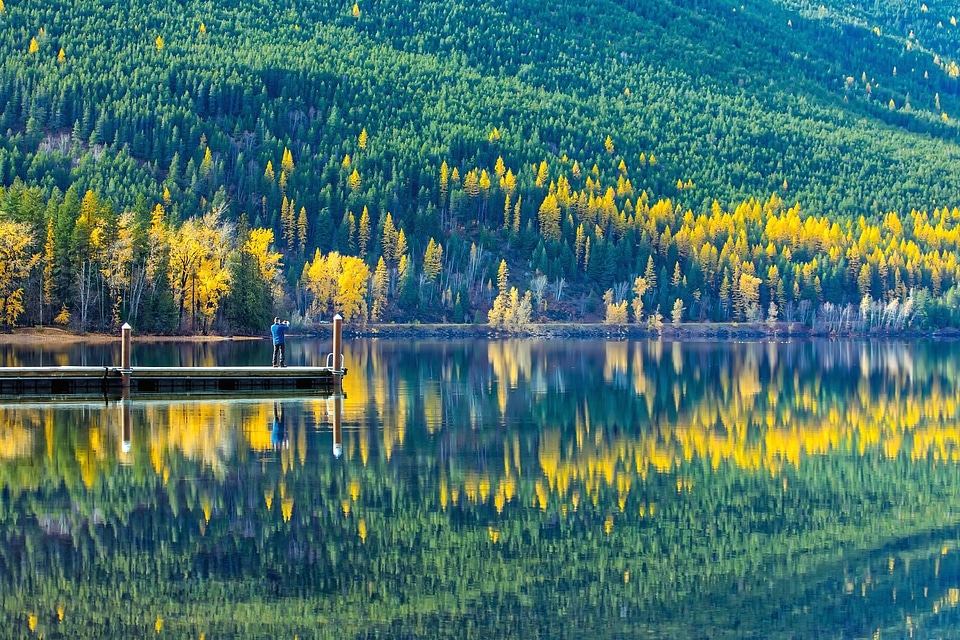 Dock forest lake photo