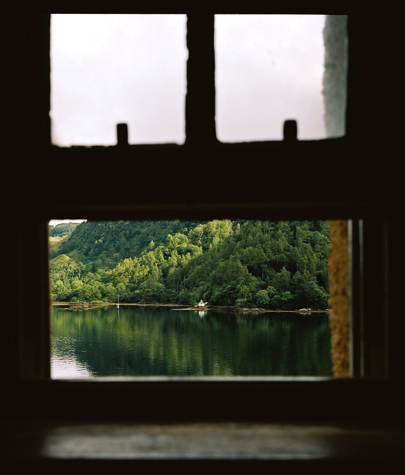 Forest water window