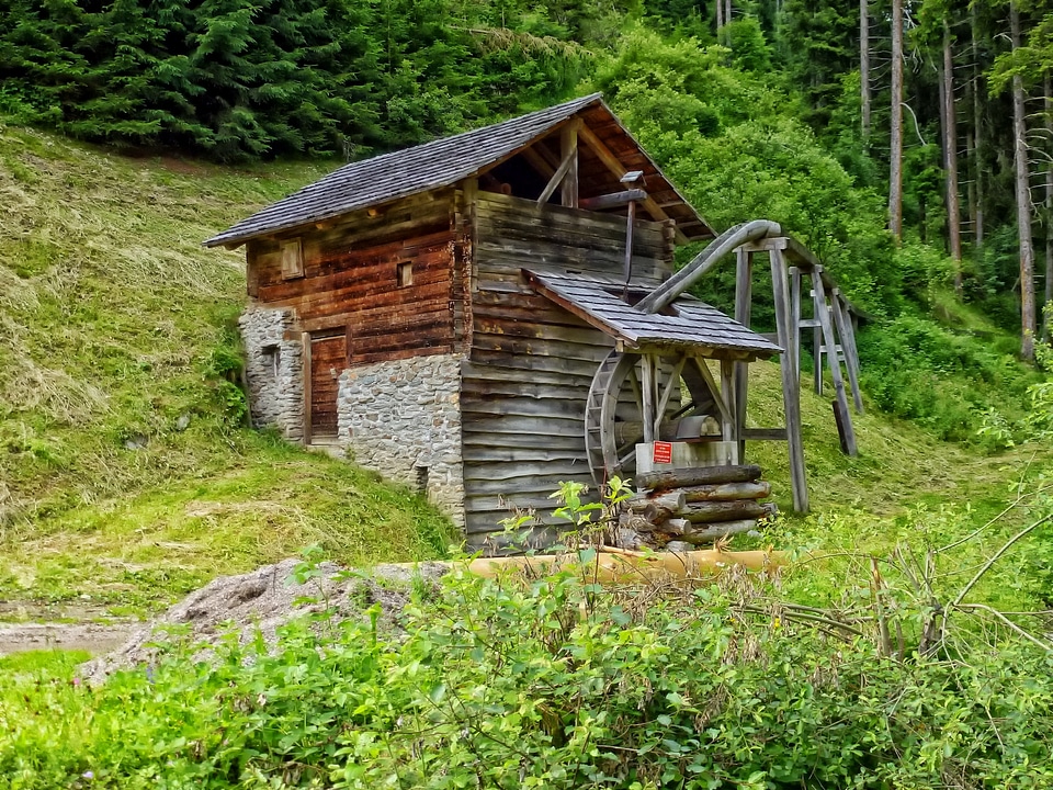 Building wooden forest