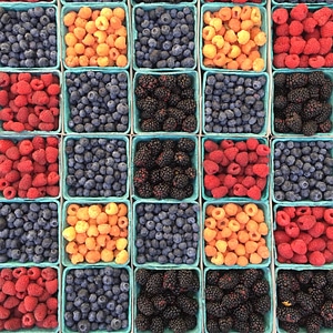 Berries berry blackberry