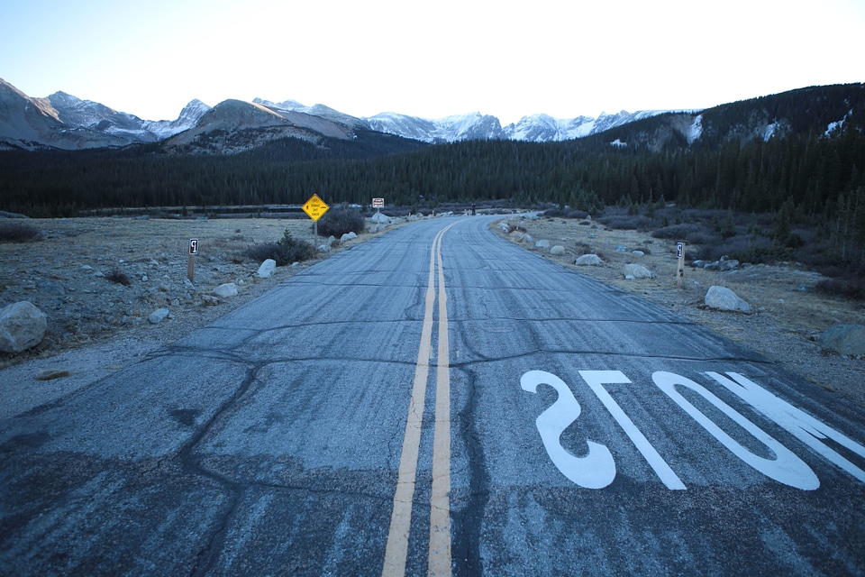 Asphalt conifer countryside