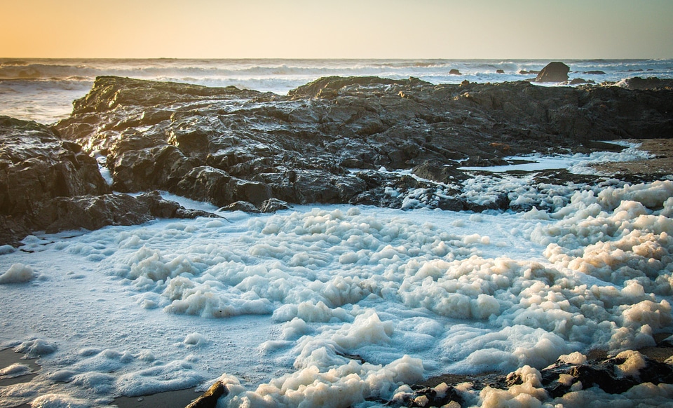 Beach coastline dawn