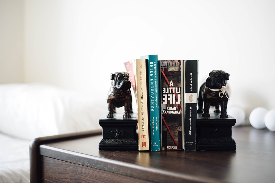 Book books bookshelf