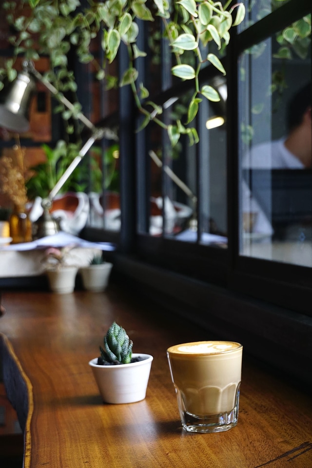 Cactus coffee coffee cup