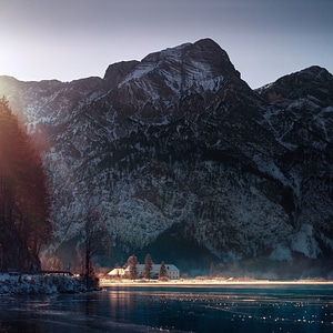 Cold conifer dawn