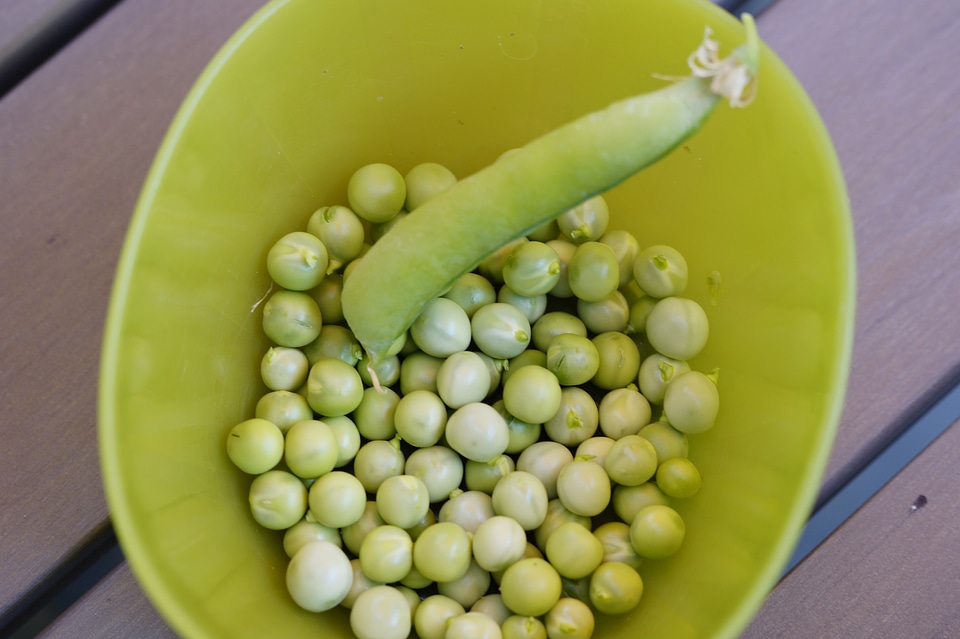 Shelling shelling peas food