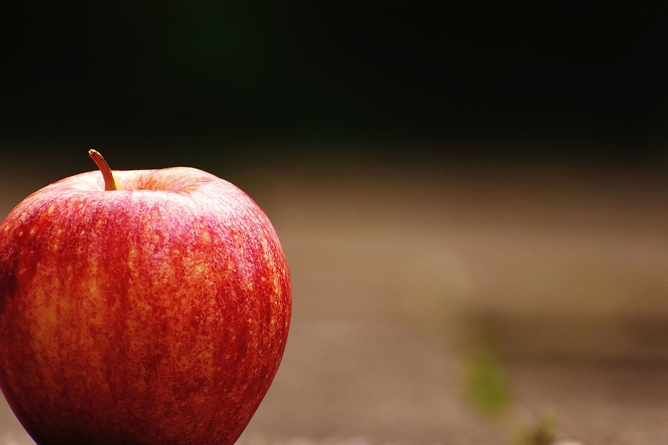 Apple beautiful photo delicious
