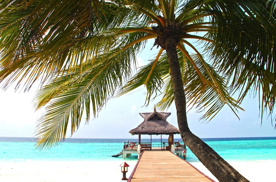 Beach beautiful photo seashore
